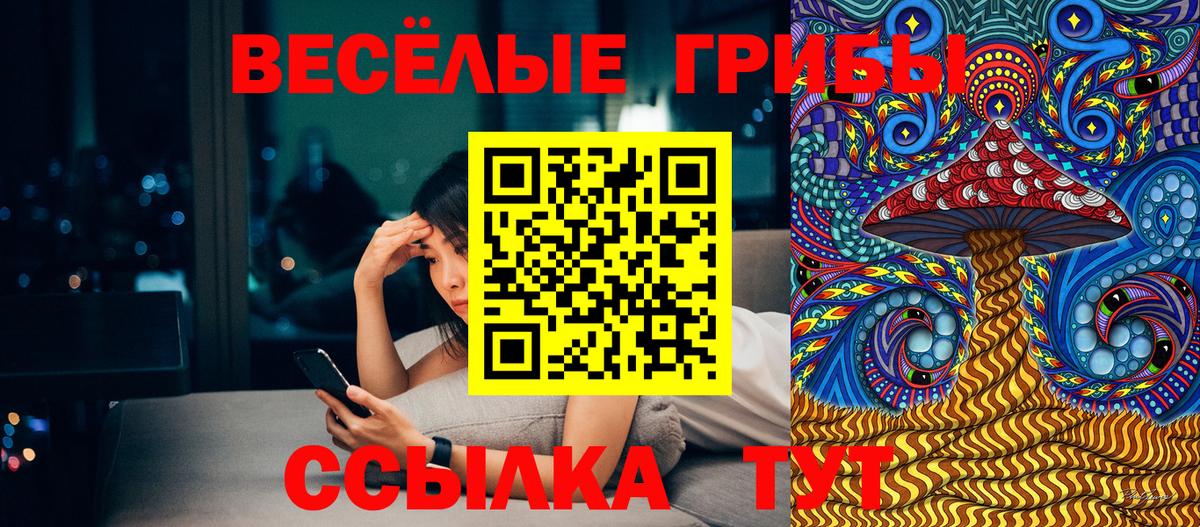 Псилоцибиновые грибы MAGIC MUSHROOMS Ипатово